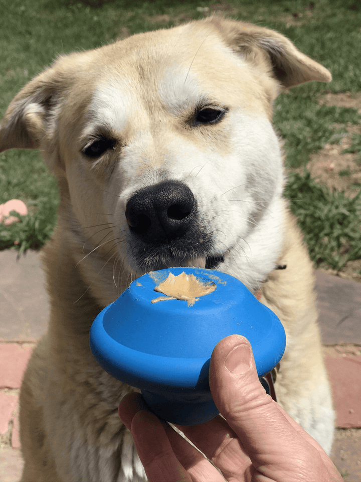 Ultra-Durable Flying Saucer Chew Toy & Treat Dispenser for Dogs - GiFTiFY