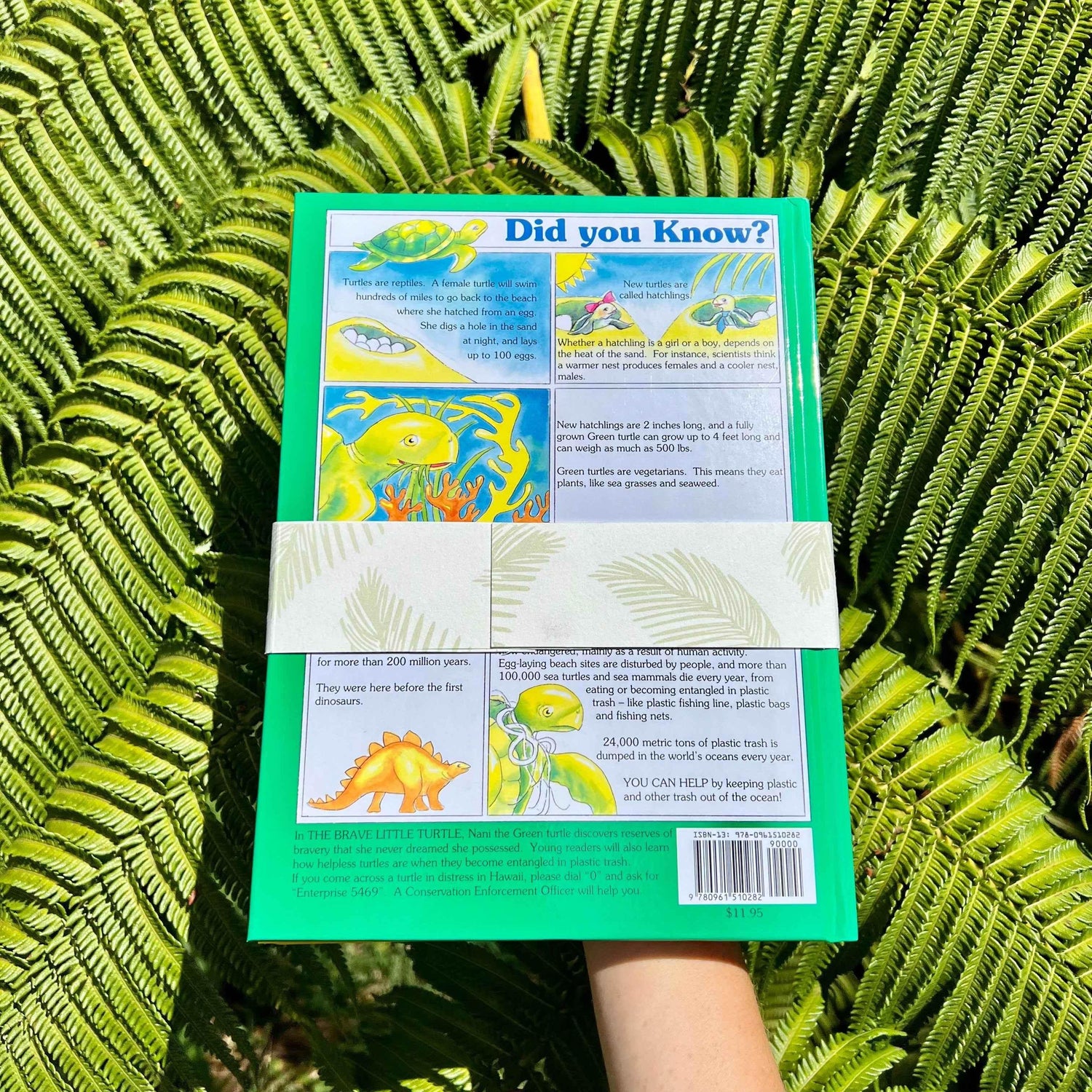 The Classics Collection Set - GiFTiFY