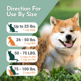 Arthri-Pawz – with Glucosamine for Cats and Dogs Joint Support by Dr. Ruth Roberts
