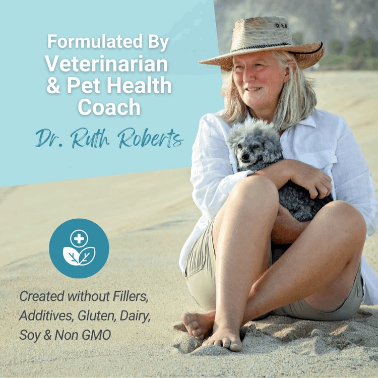 Hista Paws – with Quercetin for Dogs and Cats Vitamins & Supplements by Dr. Ruth Roberts