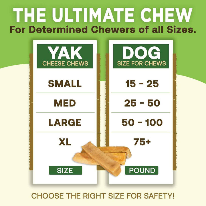 Gold Yak Chews for Small Dogs (4 - 75 sticks) - GiFTiFY