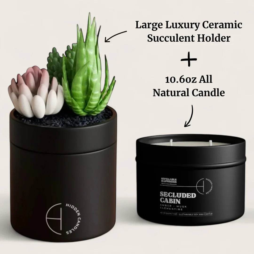The Hidden Candle Succulent & Candle by Hidden Candles