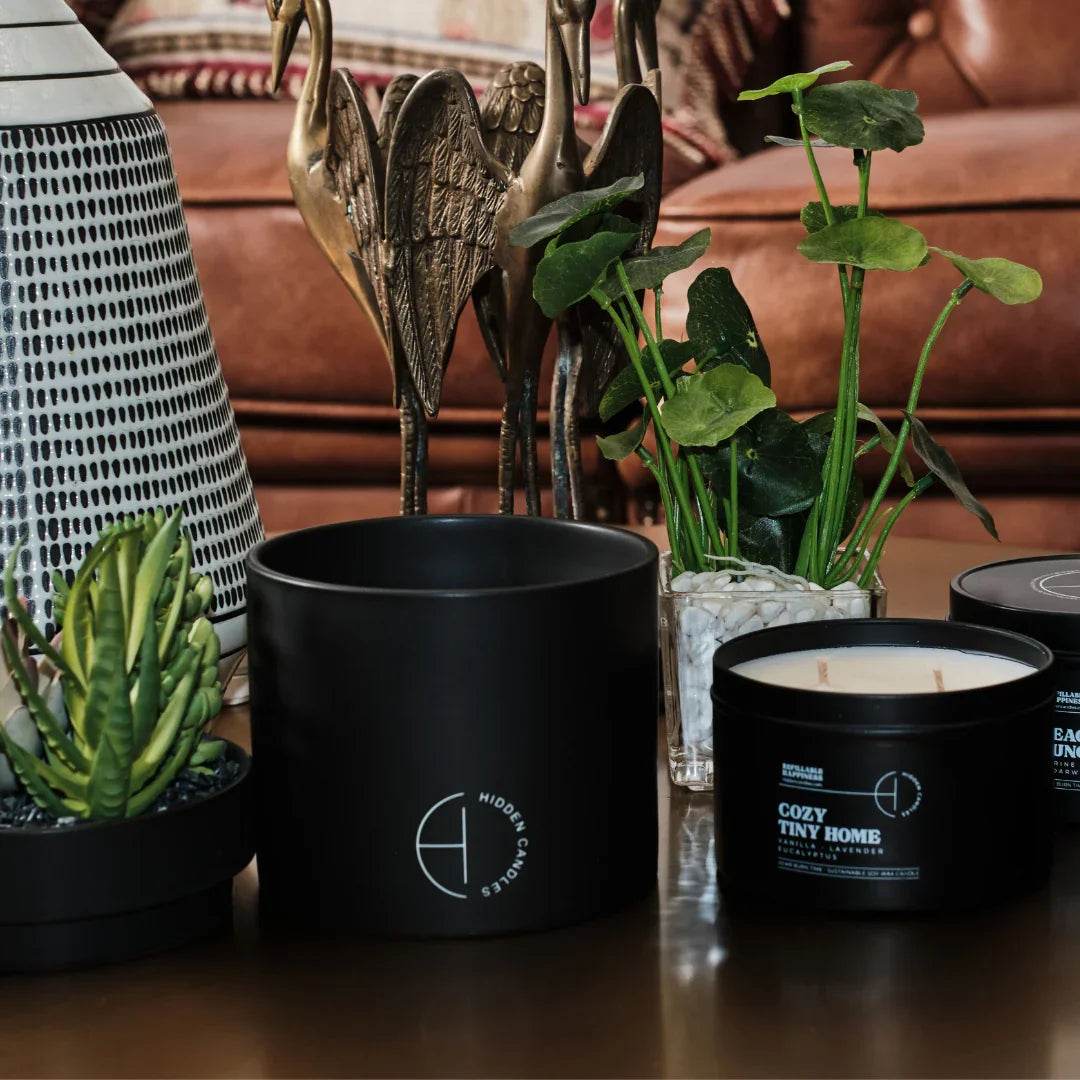 The Hidden Candle Succulent & Candle by Hidden Candles