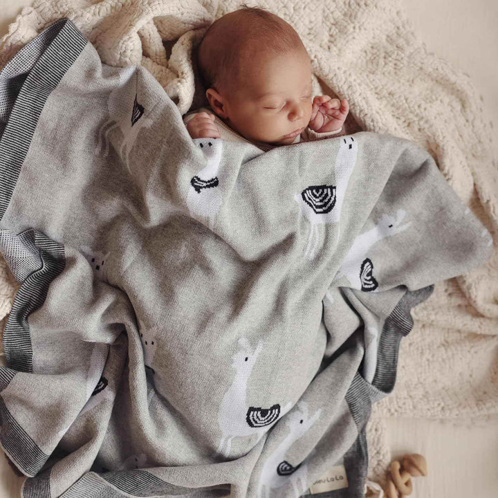 Luxury Knit Llama Swaddle Baby Blanket - GiFTiFY