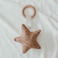 Poinsettia Wooden Shape Teethers