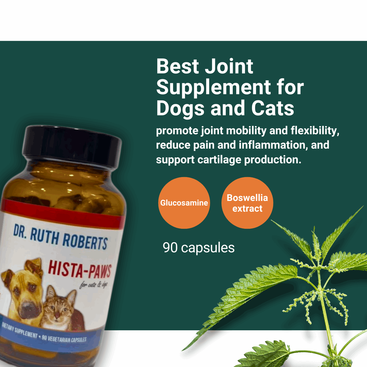 Arthri-Pawz – with Glucosamine for Cats and Dogs Joint Support by Dr. Ruth Roberts