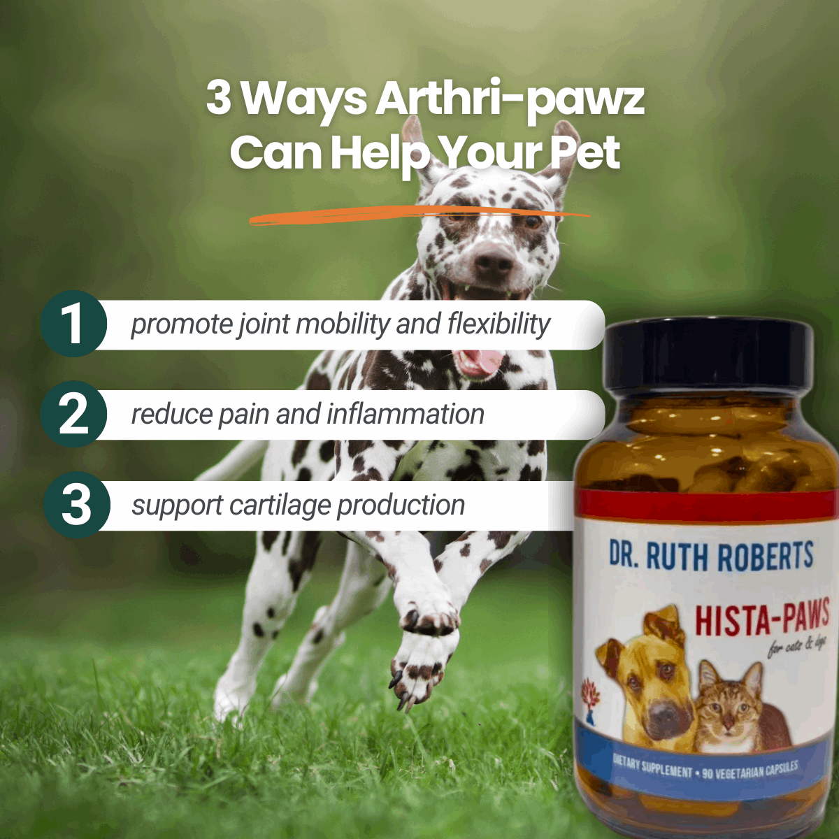 Arthri-Pawz – with Glucosamine for Cats and Dogs Joint Support by Dr. Ruth Roberts