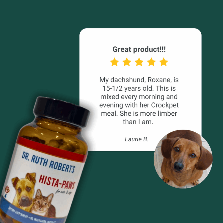 Arthri-Pawz – with Glucosamine for Cats and Dogs Joint Support by Dr. Ruth Roberts