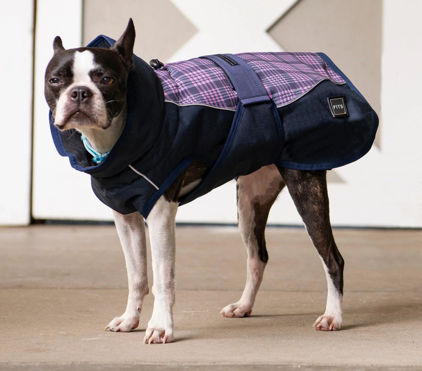 All Weather Dog Coat FITS Riding