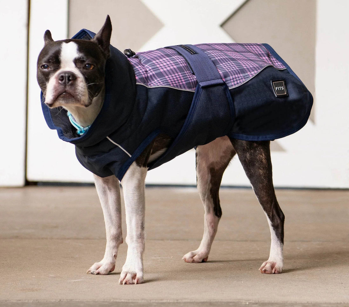 All Weather Dog Coat Accessories by FITS Riding