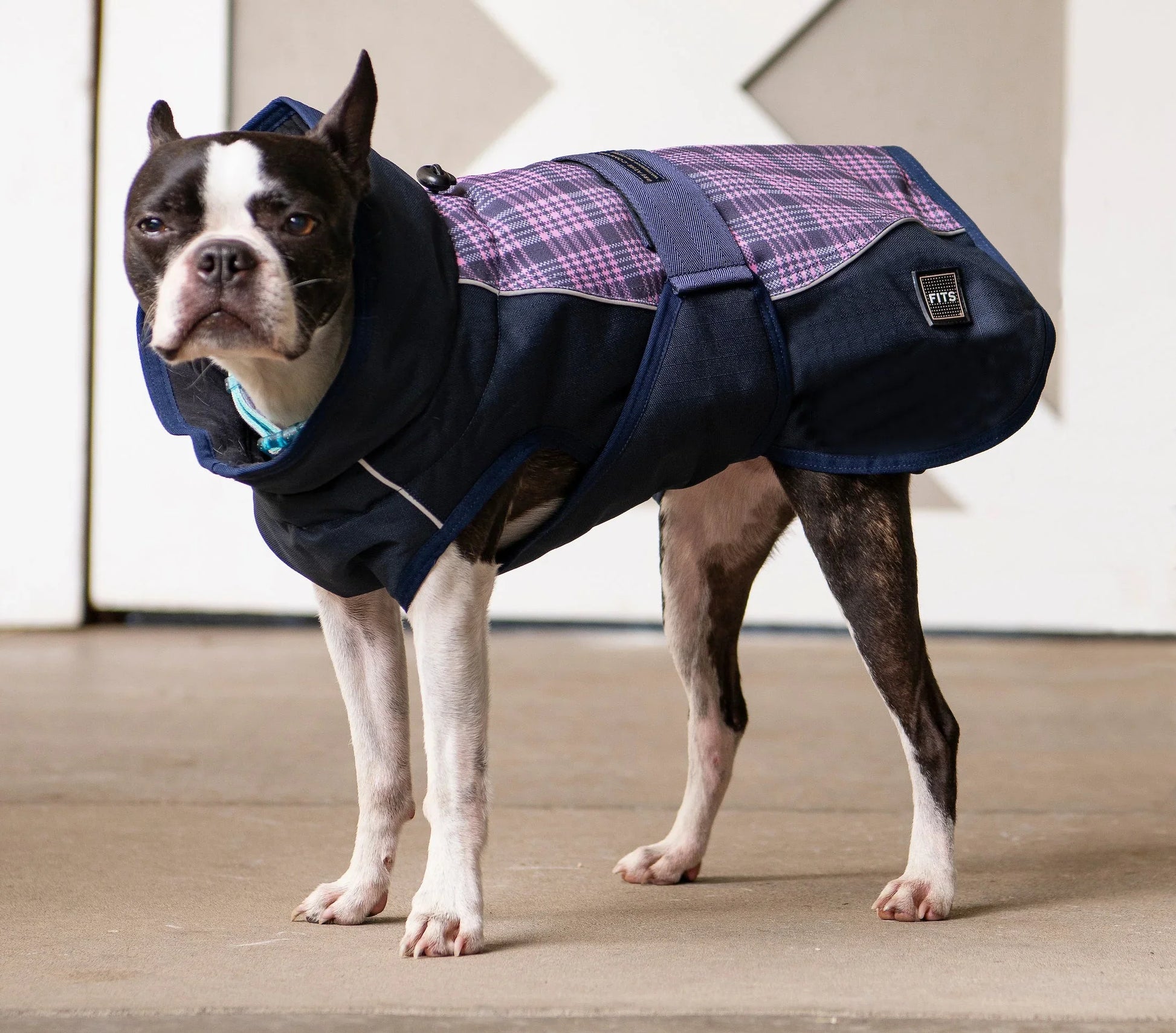 All Weather Dog Coat FITS Riding