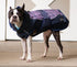 All Weather Dog Coat - GiFTiFY