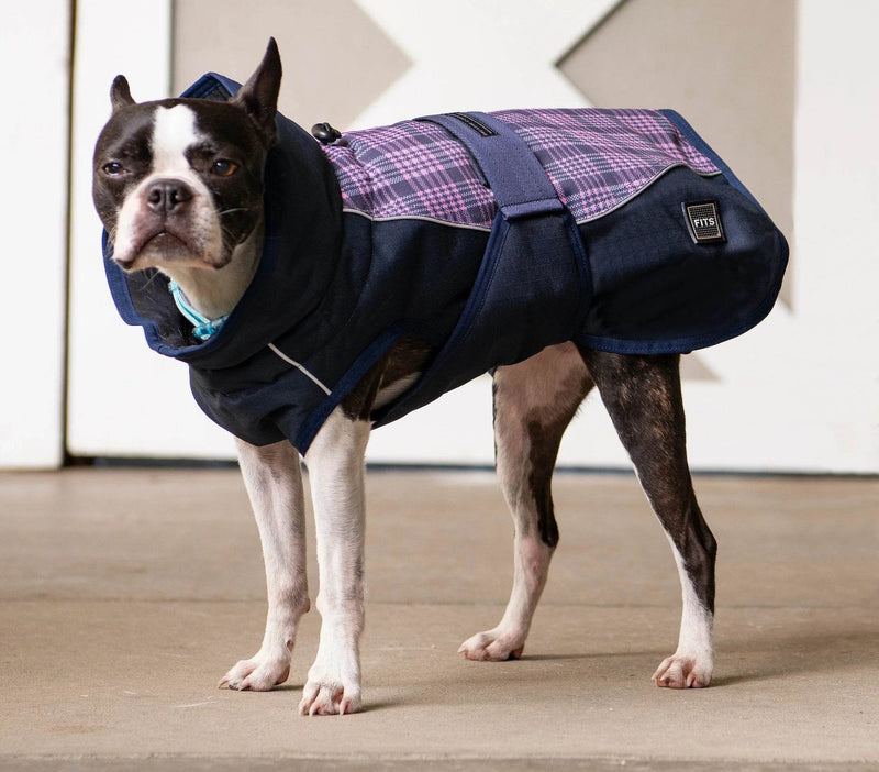 All Weather Dog Coat Accessories by FITS Riding