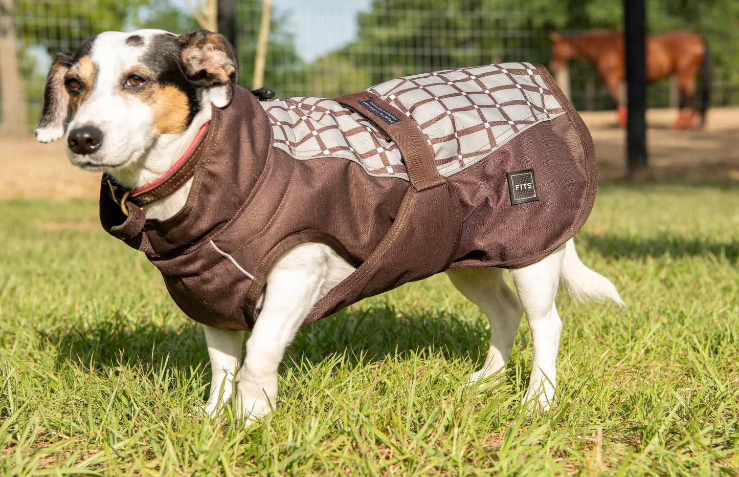 All Weather Dog Coat FITS Riding