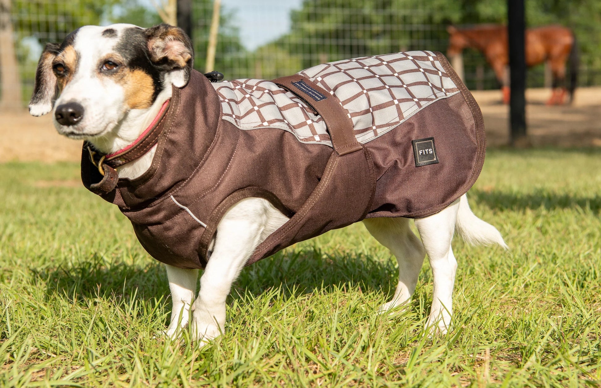 All Weather Dog Coat FITS Riding
