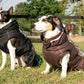 All Weather Dog Coat FITS Riding