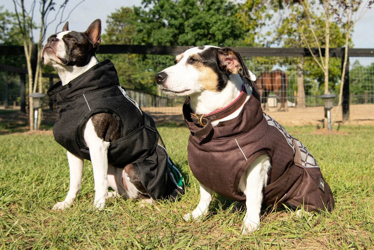 All Weather Dog Coat FITS Riding