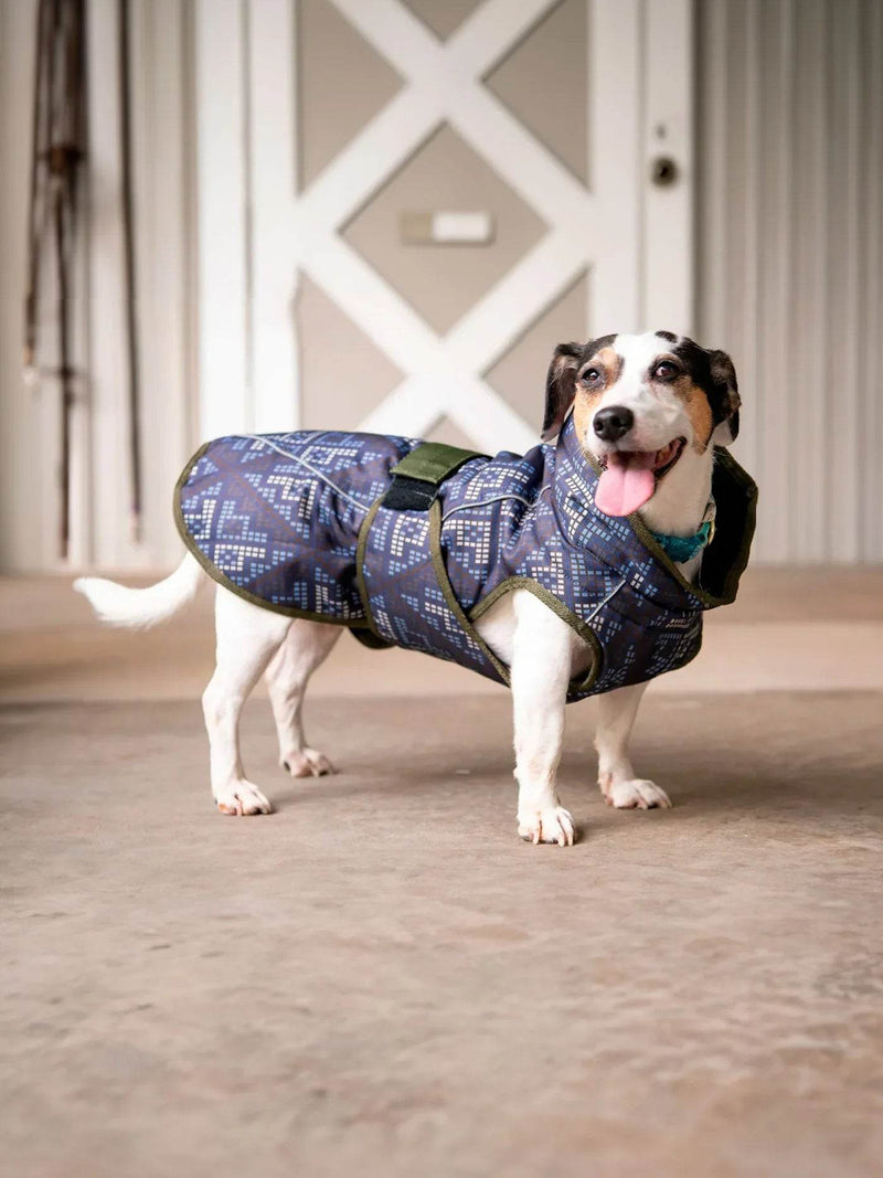 All Weather Dog Coat Accessories by FITS Riding