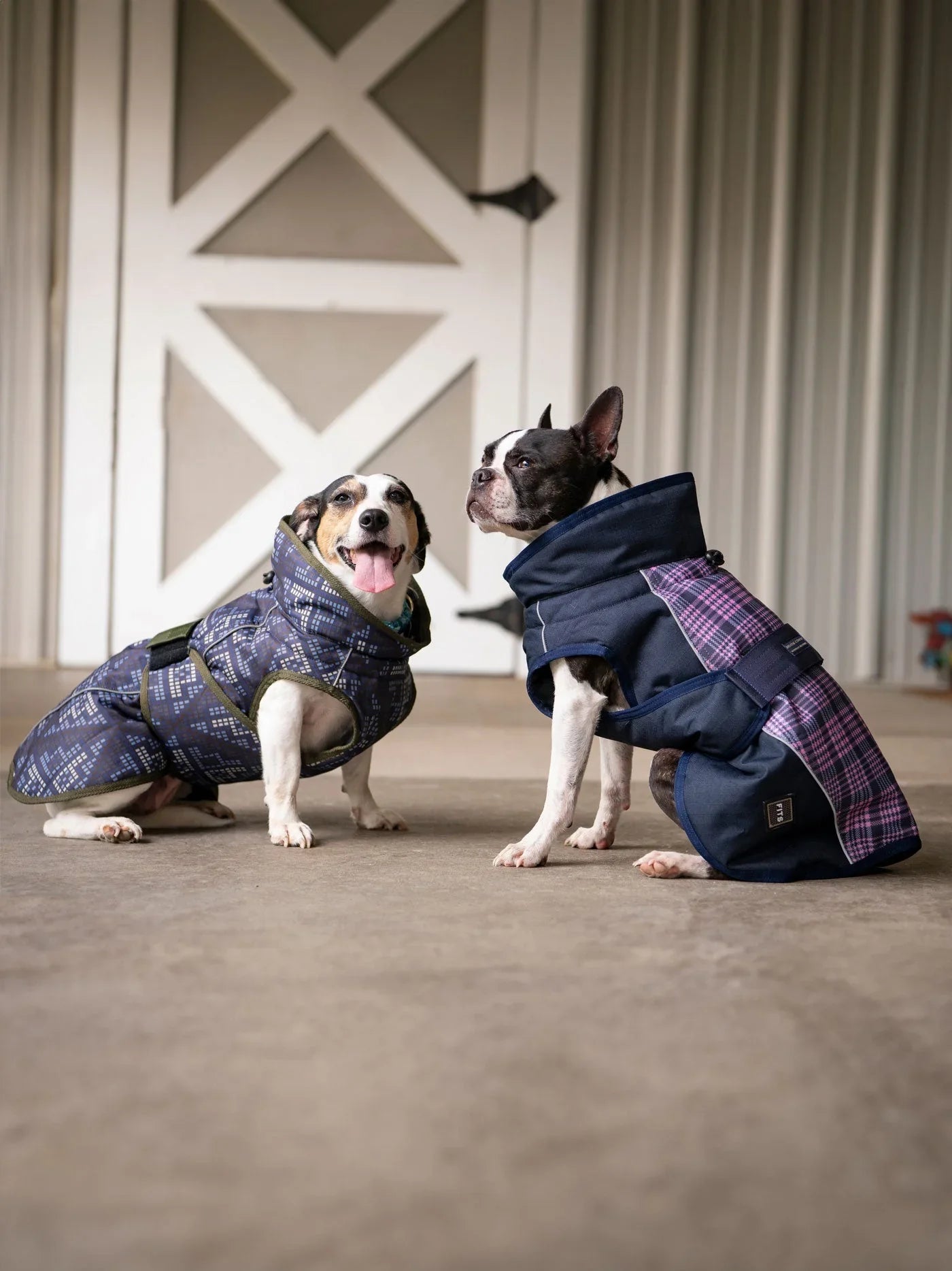 All Weather Dog Coat FITS Riding