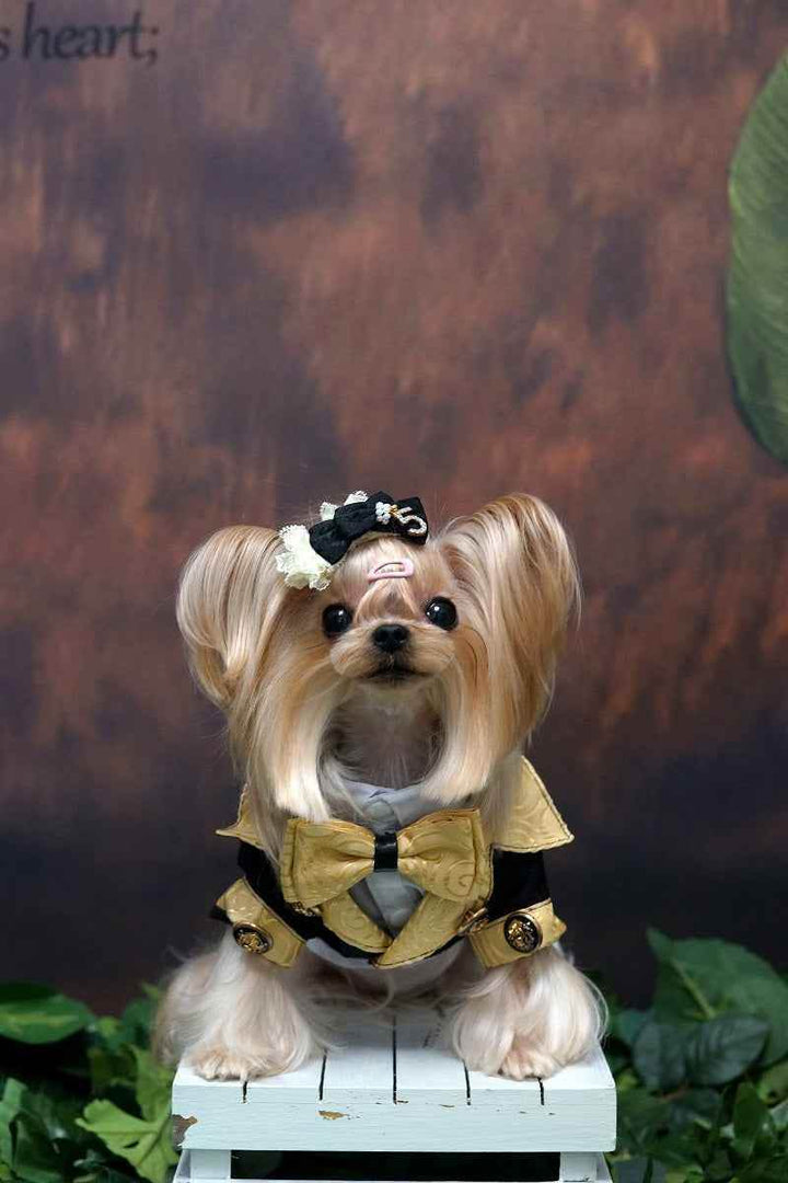 Royal Pup Couture Dog Suit Pet Tuxedo+Shirt - GiFTiFY