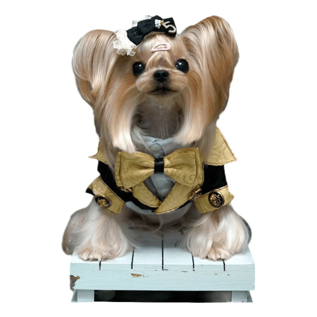 Royal Pup Couture Dog Suit Pet Tuxedo+Shirt - GiFTiFY