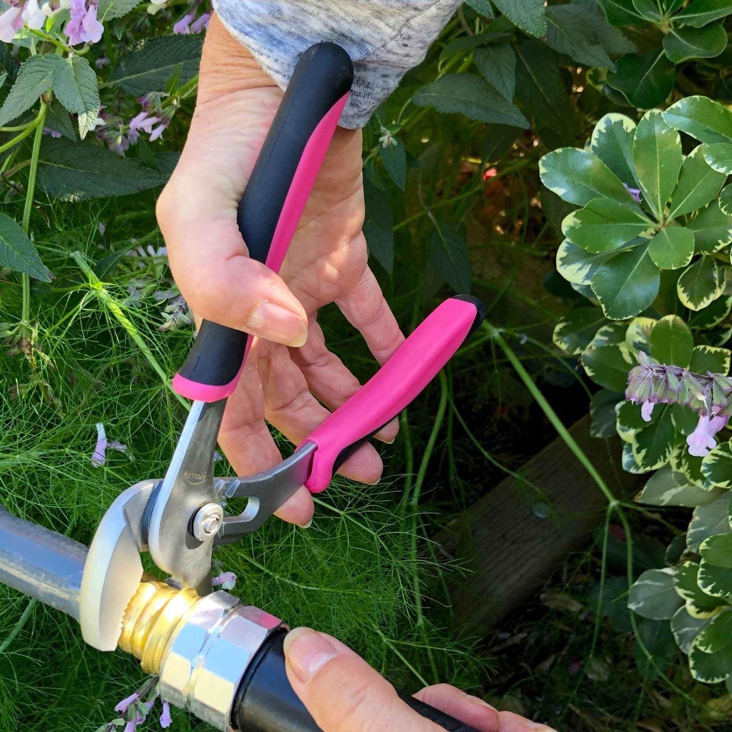 3 Pliers - Pink - DT5008P - GiFTiFY