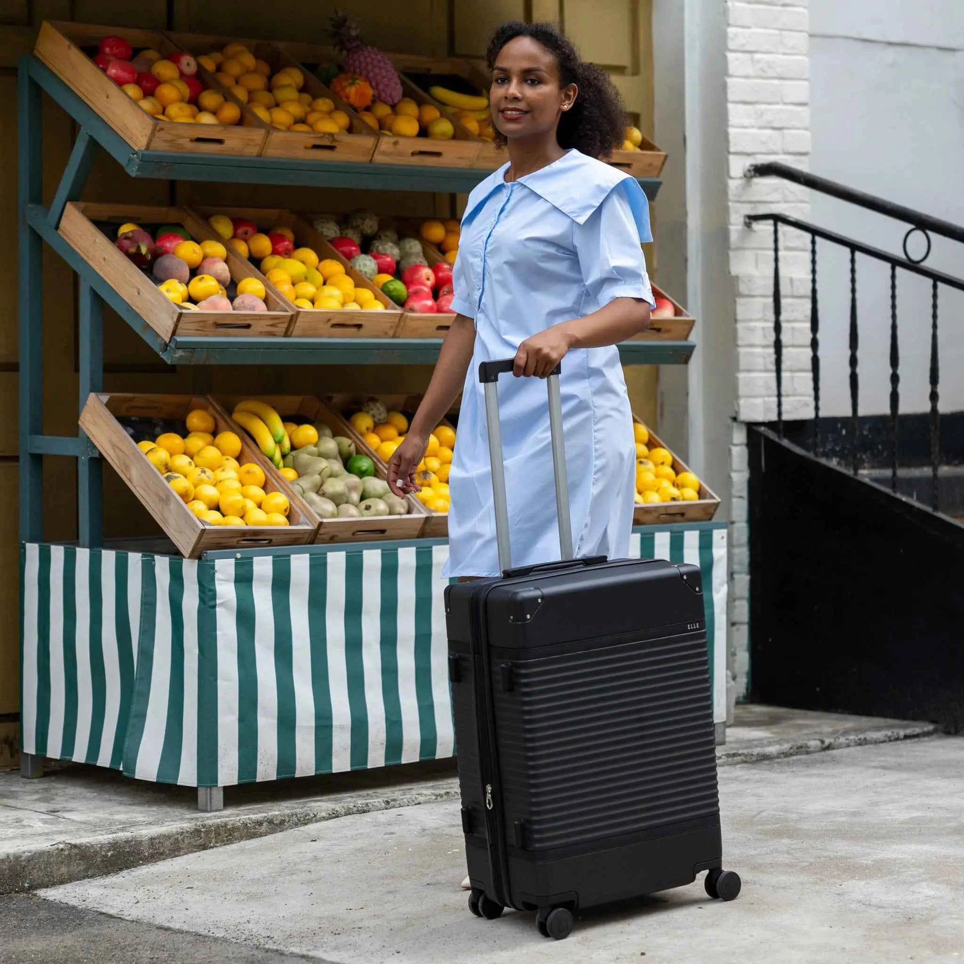 Belleville Retro Luggage Set