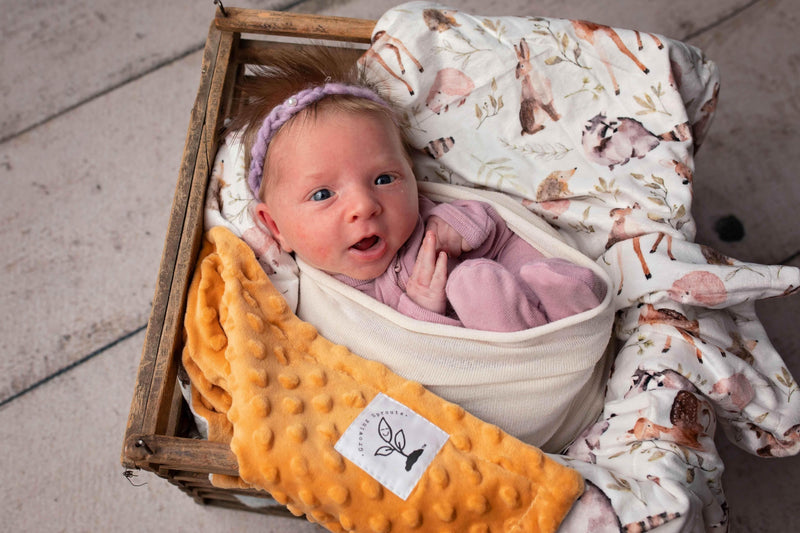 Forest Friends Minky Blanket by Growing Sprouts