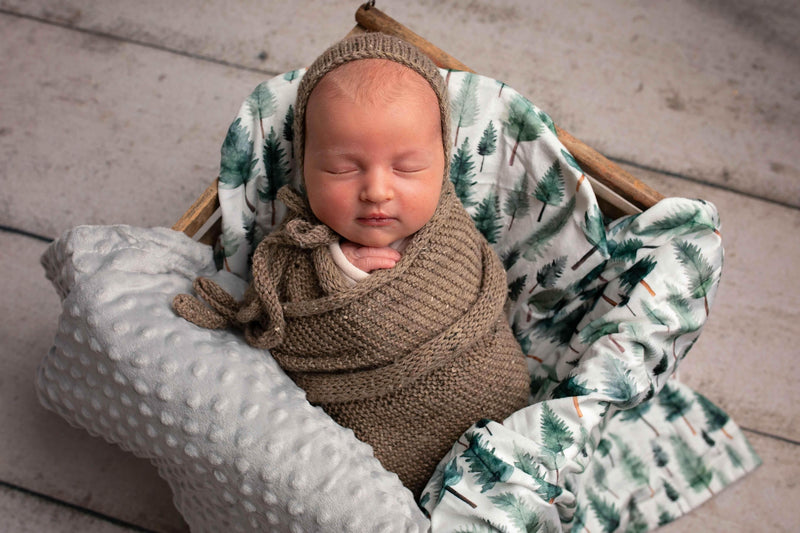 Woodland Whispers Minky Blanket by Growing Sprouts