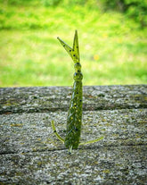 The Sharpshooter - GiFTiFY