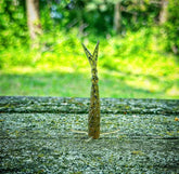 The Sharpshooter - GiFTiFY