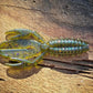 The Sherman Fish or Die Bait Company