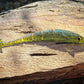 Warbird Fish or Die Bait Company