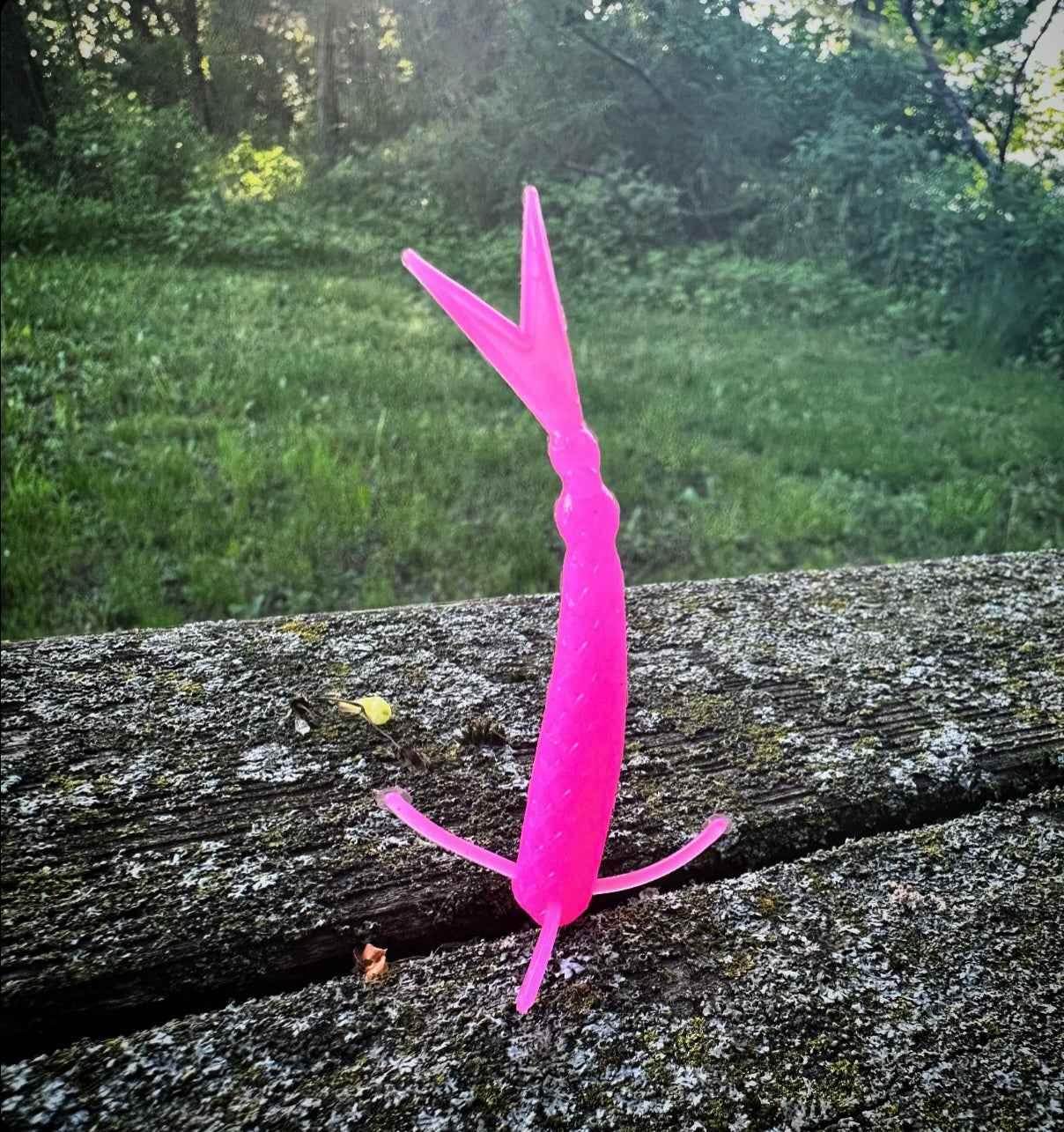 The Sharpshooter - GiFTiFY