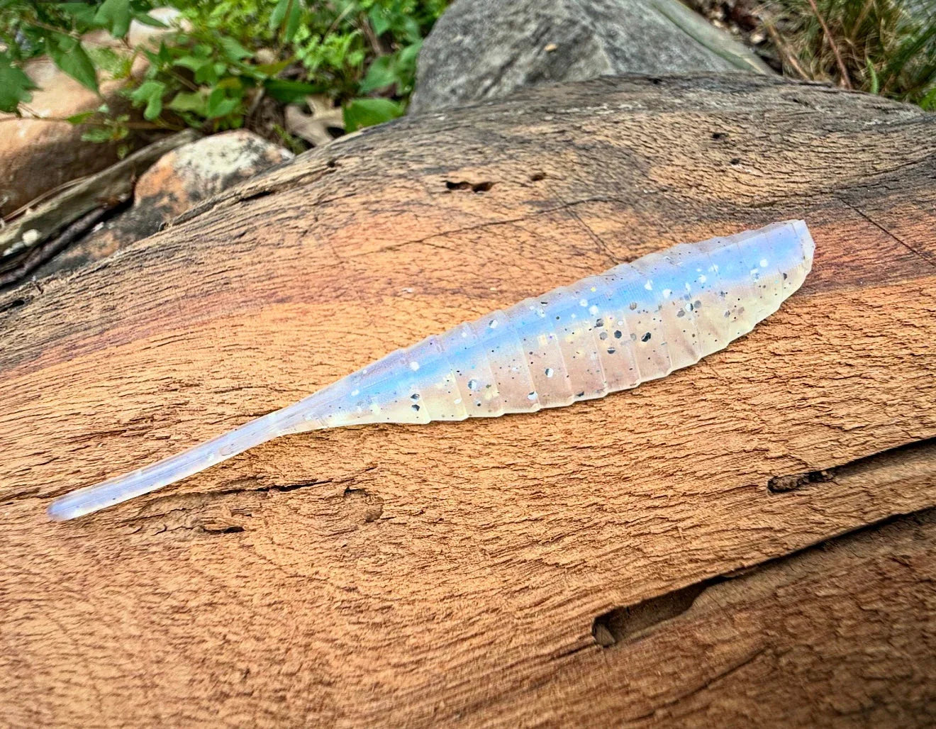 Shiv Fish or Die Bait Company