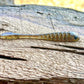 The Gadsden Fish or Die Bait Company