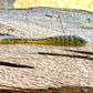 The Gadsden Fish or Die Bait Company