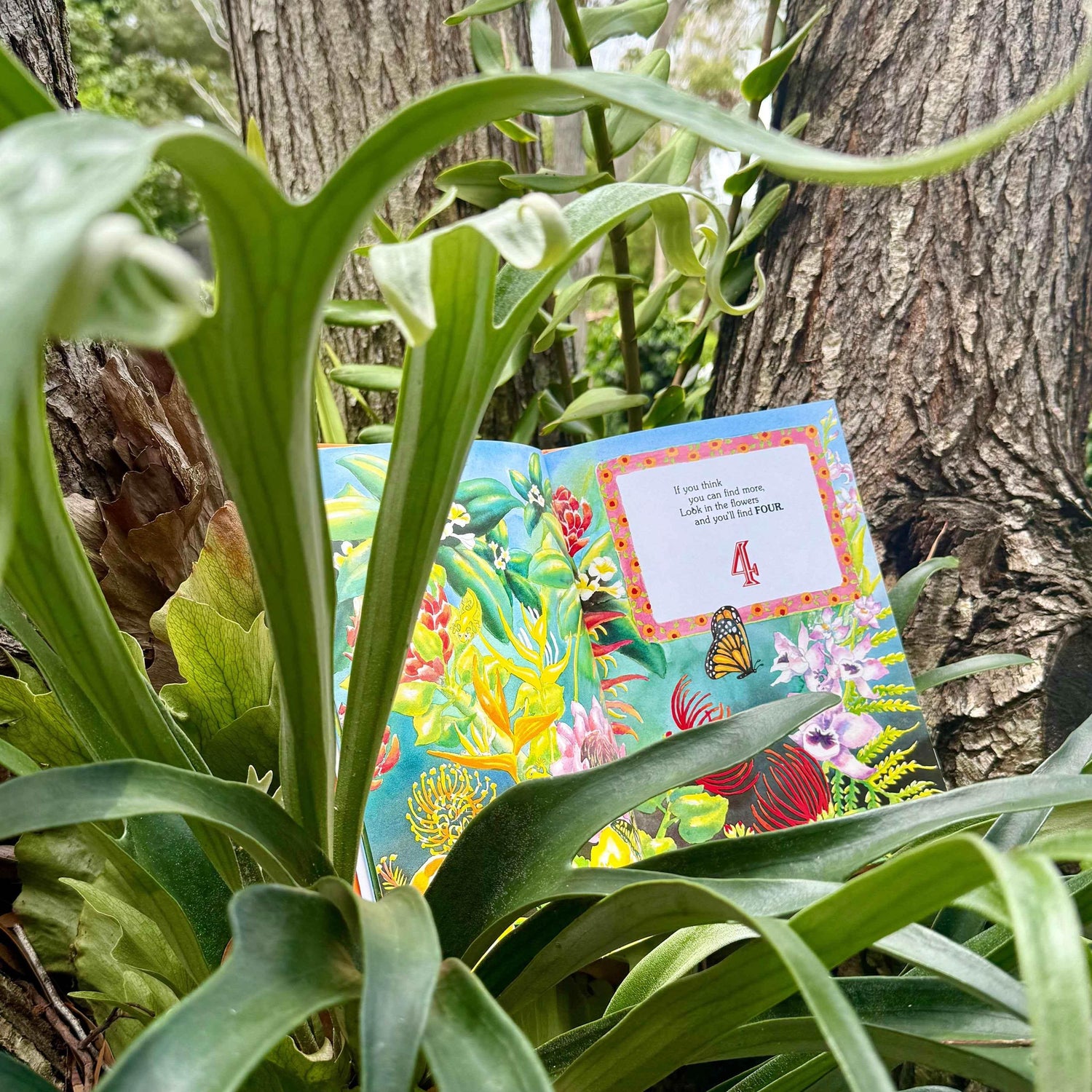 Gecko Hide and Seek - GiFTiFY