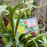 Gecko Hide and Seek - GiFTiFY