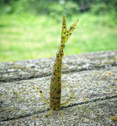 The Sharpshooter - GiFTiFY