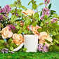 Holy Basil and Rosewater 2-Wick Candle