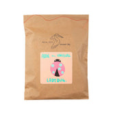 Addie the Unusual Ladybug - GiFTiFY