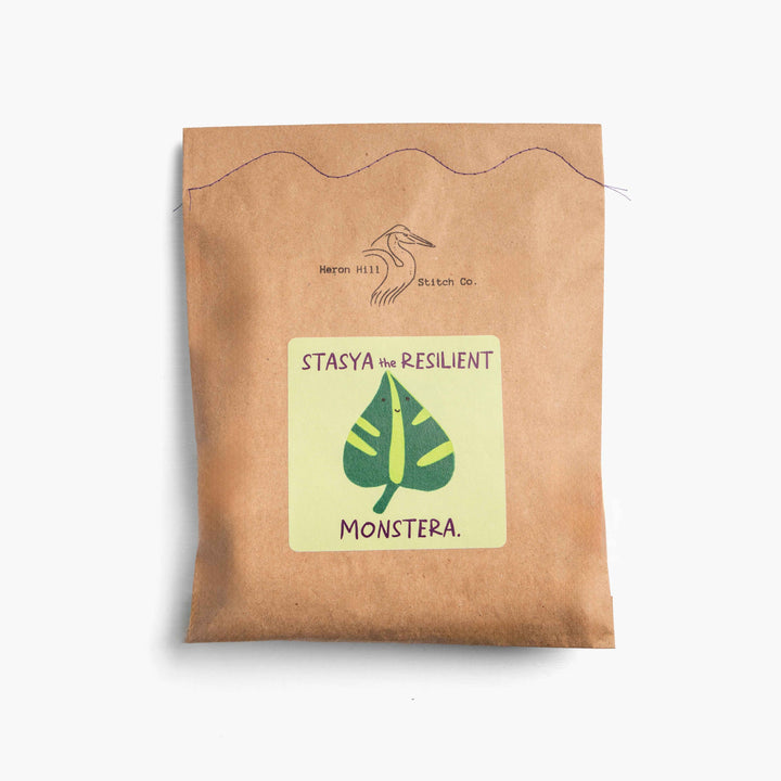 Stasya the Resilient Monstera