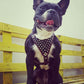 ''Frenchie'' studded leather harness Small to Medium Size