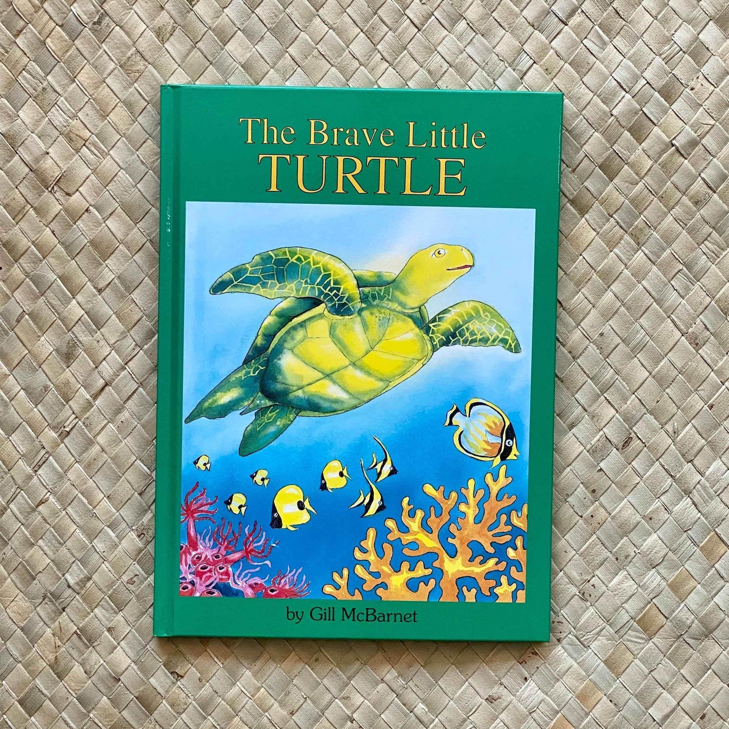 The Brave Little Turtle - GiFTiFY