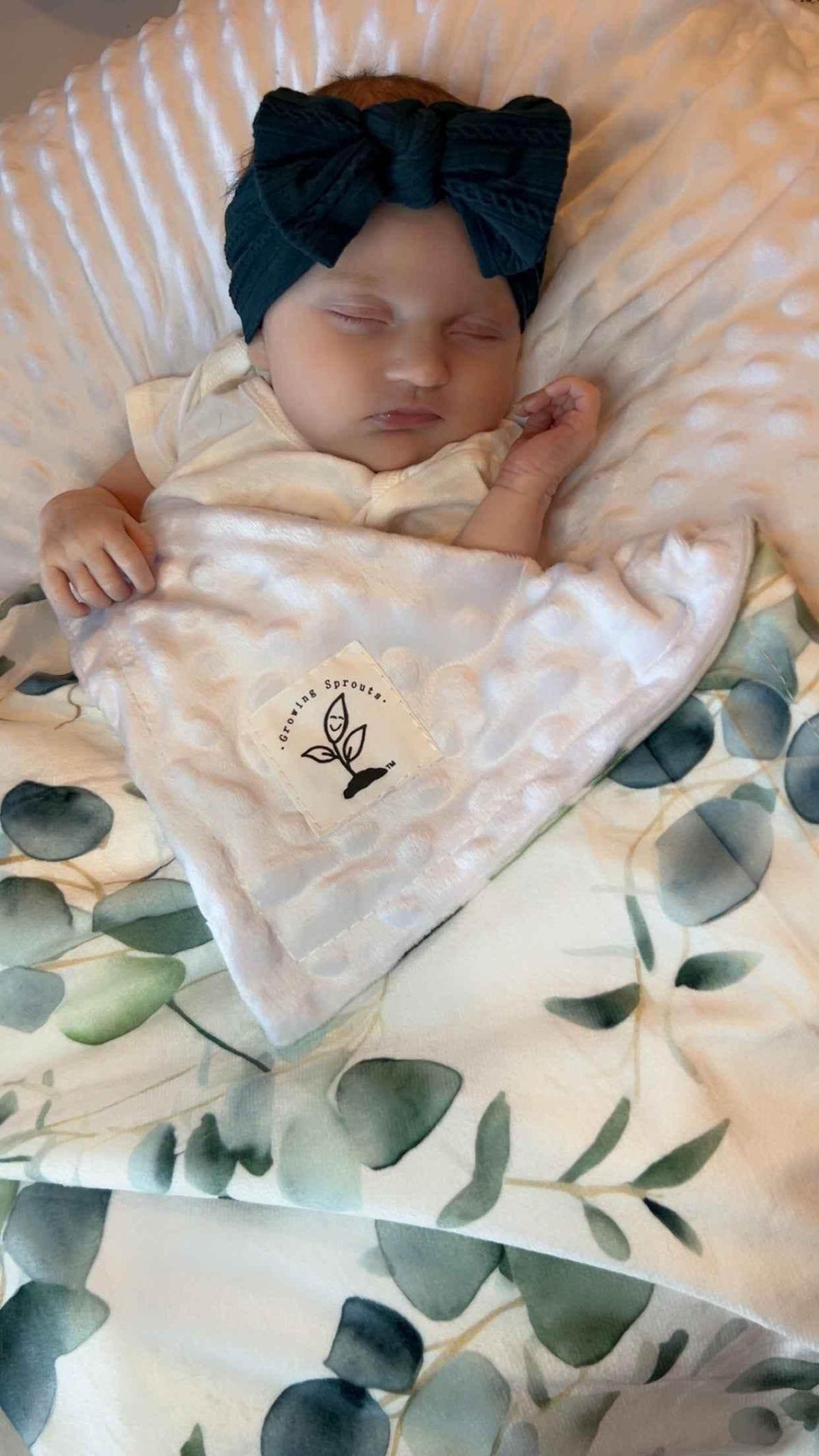 Eucalyptus Embrace Minky Blanket by Growing Sprouts