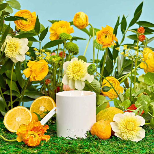 Neroli Citronella 2-Wick Candle