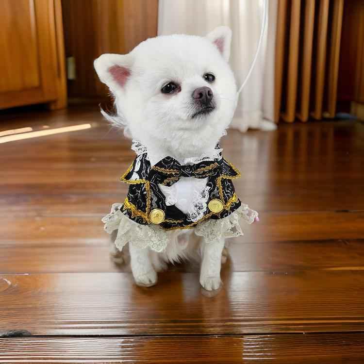 Royal Pet Tuxedo | Formal Wedding Outfit for Dogs & Cats - GiFTiFY