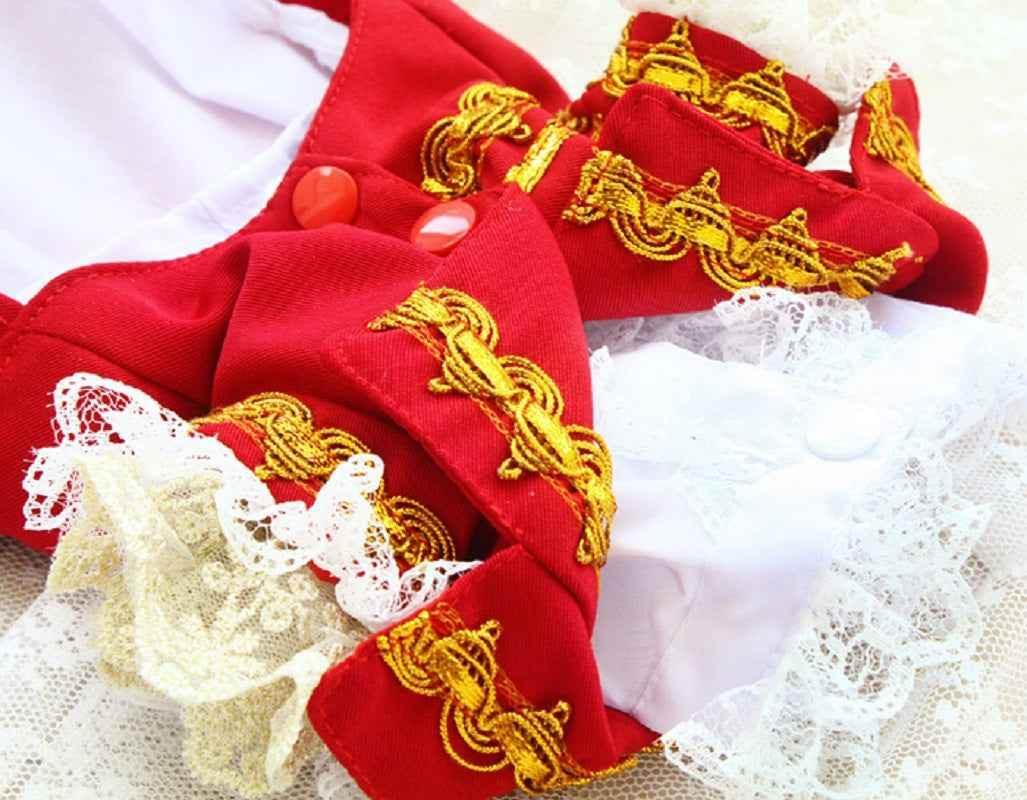 Handmade Regal French Court Dog Clothes Tailcoat Luxury Pet Suit With Shirt Lace and Gold Detailing - GiFTiFY