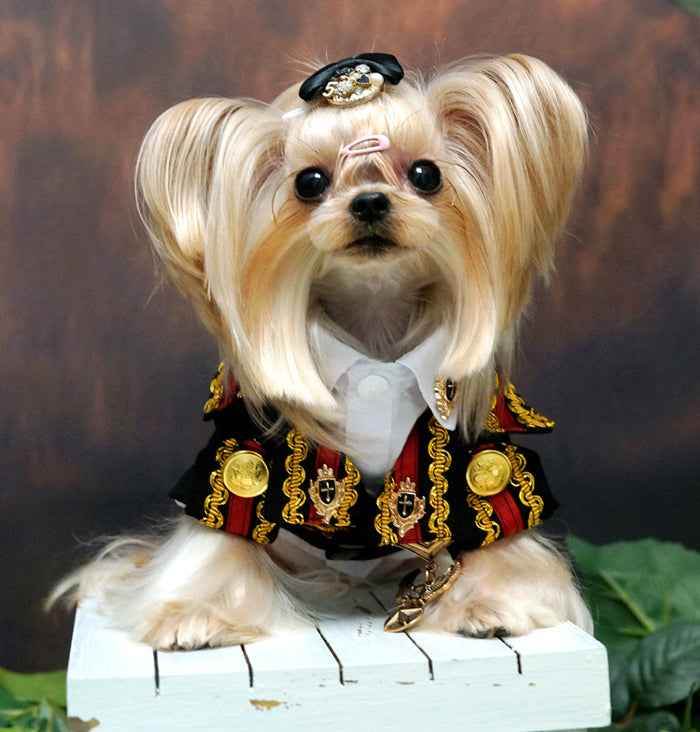 Handcrafted Royal Military Pet Suit Gold Trimmed Dog Outfit Jacket Suit Shirt Two-Piece Prince Uniform Badge - GiFTiFY